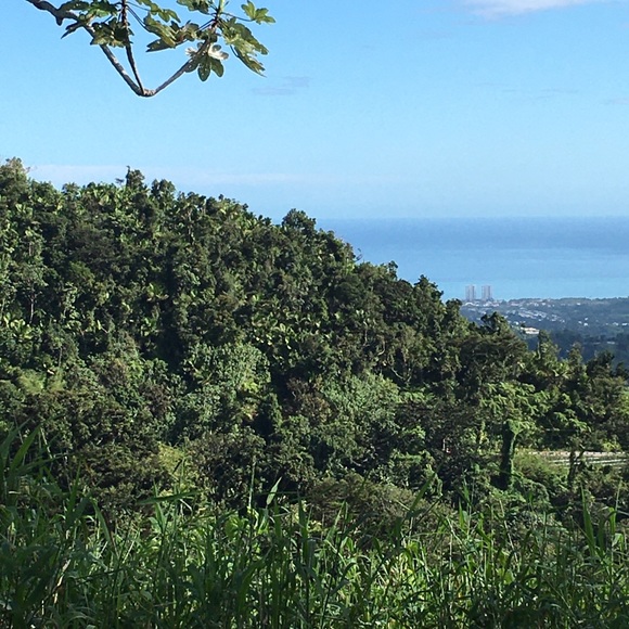 Meet your Posher, Merry - Picture 1 of 1